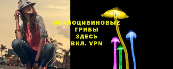 mdpv Богородск