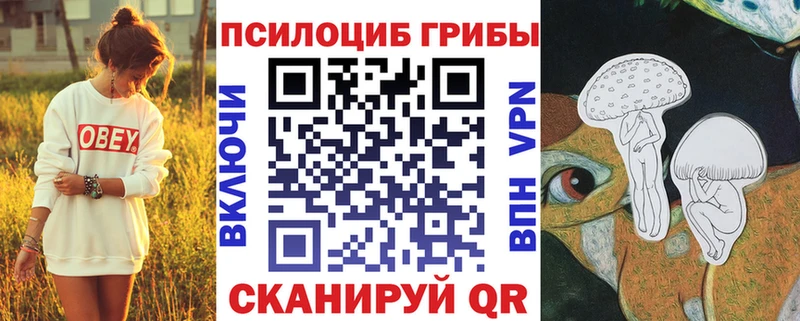 Галлюциногенные грибы Cubensis  купить закладку  Дятьково 